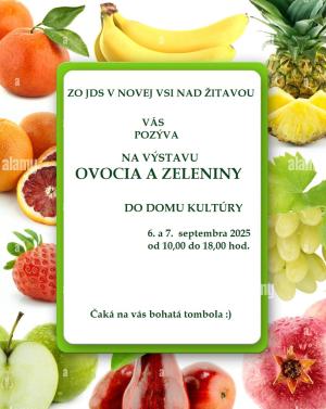 výstava